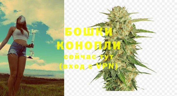 кокаин Белокуриха