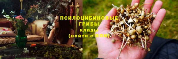 кокаин Белокуриха