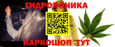 гашишное масло Ачхой-Мартан