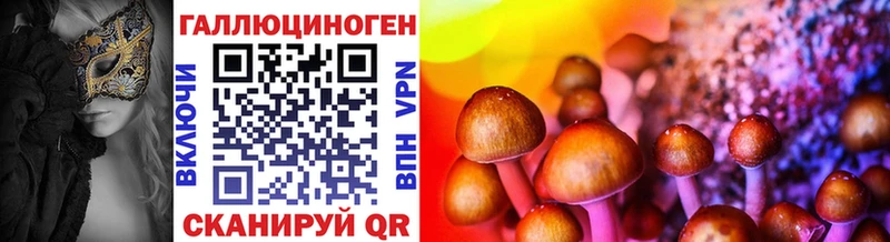Псилоцибиновые грибы Psilocybine cubensis ссылка на мегу рабочий сайт Пятигорск наркотики