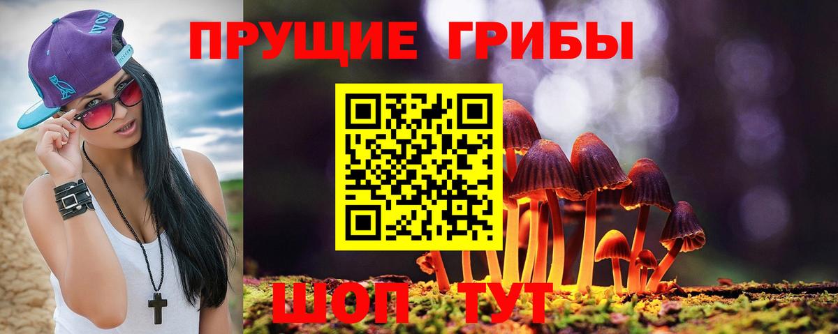 Галлюциногенные грибы мицелий Пятигорск